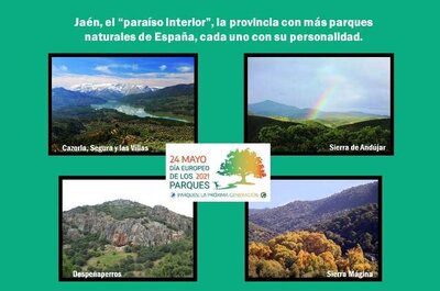 Jaén "paraíso interior" y sus cuatro parques naturales - Tu visita a Úbeda y Baeza